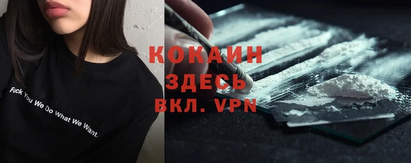 тгк Гусь-Хрустальный
