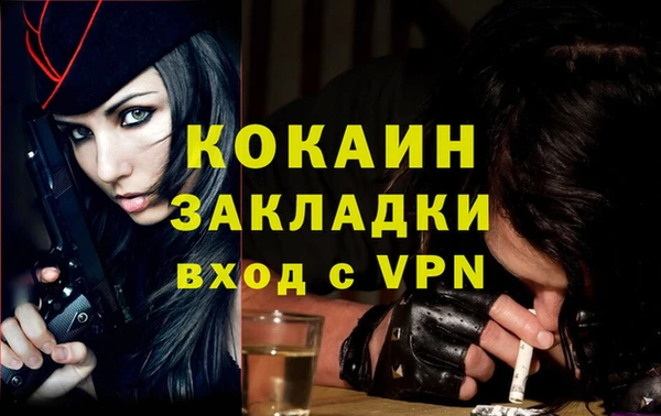 тгк Гусь-Хрустальный