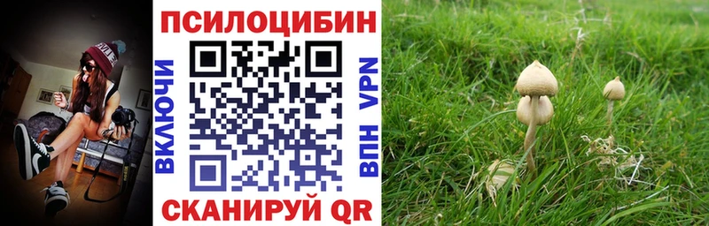 Галлюциногенные грибы MAGIC MUSHROOMS  Купить закладки  Пугачёв 