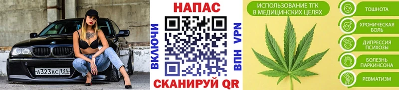 Каннабис планчик  Купить закладки  Пугачёв 
